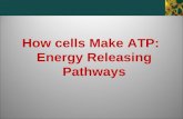 How cells Make ATP: Energy Releasing Pathways. Metabolism Metabolism has two complementary components: catabolism, which releases energy by splitting.