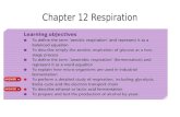 Chapter 12 Respiration. External Respiration – Process by which organisms exchange gases with their environment. Takes place in the lungs of mammals gills.