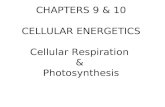 CHAPTERS 9 & 10 CELLULAR ENERGETICS Cellular Respiration & Photosynthesis.