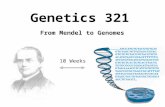 Genetics 321 From Mendel to Genomes 10 Weeks. Jeff Young, Botanist email: via contact form on web site x3638 Office: BI412 Arabidopsis thaliana Genome-based.