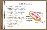 Bacteria Bacteria are pro karyotes “first seed” (single cells that do not contain a nucleus, or membrane bound organelles). Bacteria are microscopic and.