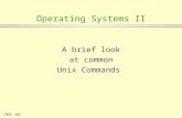 CMSC 1041 Operating Systems II A brief look at common Unix Commands.