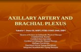 AXILLARY ARTERY AND BRACHIAL PLEXUS Valentin C. Dones III, MSPT, PTRP, COMT, DMS, IMPT Masters of Science in Orthopedic Physical Therapy Certified Dorn.