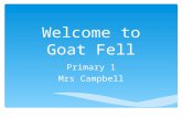 Welcome to Goat Fell Primary 1 Mrs Campbell.  Tuesday, Wednesday & Thursday  Polo shirts & shorts  Theme?? PE Days.