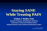 Staying SANE While Treating PAIN Nathan J. Rudin, M.D. Assistant Professor, Rehabilitation Medicine University of Wisconsin Medical School Medical Director,