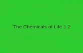 The Chemicals of Life 1.2. Why study Carbon? All living things are made of cells Cells –~72% H 2 O –~3% salts (Na, Cl, K…) –~25% carbon compounds –carbohydrates.