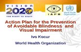 Action Plan for the Prevention of Avoidable Blindness and Visual Impairment Ivo Kocur World Health Organization.
