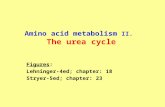 Amino acid metabolism II. The urea cycle Figures: Lehninger-4ed; chapter: 18 Stryer-5ed; chapter: 23.