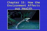 Chapter 15: How the Environment Affects our Health.
