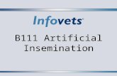 B111 Artificial Insemination. Lesson Outline  Advantages of Artificial Insemination  Disadvantage of Artificial Insemination  The Process of Artificial.