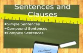 Sentences and Clauses Simple Sentences Compound Sentences Complex Sentences.