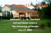 St. Augustine Grass Phosphorus Requirement Min Liu Advisor: J. B. Sartain Soil and Water Science The University of Florida May 27, 2005.