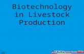 August 2008 Biotechnology in Livestock Production.