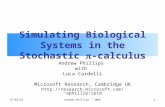 25/10/20151Andrew Phillips - 2006 Simulating Biological Systems in the Stochastic  -calculus Andrew Phillips with Luca Cardelli Microsoft Research, Cambridge.