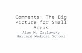 Comments: The Big Picture for Small Areas Alan M. Zaslavsky Harvard Medical School.