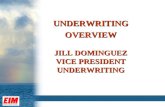 UNDERWRITING OVERVIEW JILL DOMINGUEZ VICE PRESIDENT UNDERWRITING.