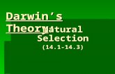 Darwin’s Theory: Natural Selection (14.1-14.3). The basics…  Evolution: process by which modern organisms have descended from ancient organisms (change.