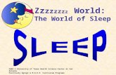 2004 © University of Texas Health Science Center at San Antonio Positively Aging® & M.O.R.E. Curriculum Programs Zz z z zz z z World: The World of Sleep.