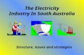 The Electricity Industry In South Australia Structure, issues and strategies.