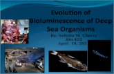 By: Selisha M. Cherry Bio 425 April 19, 2011. Agenda Definition of bioluminescence Research Goals Adaptations Attraction/Repulsion Reproduction Avoid.