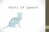 Parts of Speech. Nouns A noun is a word that names a person, place, a thing, or an idea. Examples: Person: uncle, baby, John Thing: car, door, book Idea: