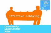 © PIAC 2009 Effective Lobbying. © PIAC 2009 Effective Lobbying Presenters: Louis Schetzer, Research & Policy Officer Carolyn Grenville, Training Co-ordinator.