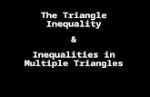 The Triangle Inequality & Inequalities in Multiple Triangles.