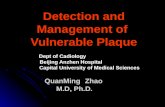 Detection and Management of Vulnerable Plaque Dept of Cadiology Beijing Anzhen Hospital Beijing Anzhen Hospital Capital University of Medical Sciences.