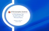A Strategy for Auditing VTE Prevention Rebecca Brown Carol Law.
