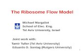1 The Ribosome Flow Model Michael Margaliot School of Elec. Eng. Tel Aviv University, Israel Tamir Tuller (Tel Aviv University) Eduardo D. Sontag (Rutgers.