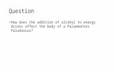 Question How does the addition of alcohol to energy drinks affect the body of a Palaemantes Paludousus?