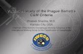 Validation study of the Prague Barrett’s C&M Criteria Prateek Sharma, M.D. Kansas City, USA Chairman of the Barrett’s Oesophagus Working Subgroup of the.