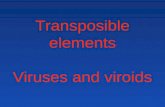 Transposible elements Viruses and viroids. Transposons, TE = mobile genetic elements -sequences of DNA that can move around to different positions within.