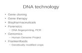 DNA technology Gene cloning Gene therapy Biopharmaceuticals Forensics –DNA fingerprinting, PCR Genomics –Human Genome Project Frankenfoods –Genetically.