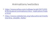 Animations/websites  878/student/animations/dna_replication/inde x.html .