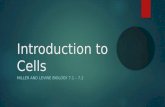 Introduction to Cells MILLER AND LEVINE BIOLOGY 7.1 – 7.2.
