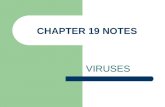 CHAPTER 19 NOTES VIRUSES CHARACTERISTICS OF VIRUSES Prokaryotic or Eukaryotic: Neither (no organelles or membranes) Unicellular or Multicellular: Neither.