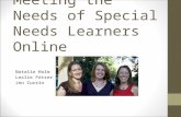 Meeting the Needs of Special Needs Learners Online Natalie Holm Leslie Fetzer Jen Currin.