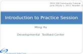 Ming Hu Developmental Testbed Center Introduction to Practice Session 2011 GSI Community Tutorial June 29-July 1, 2011, Boulder, CO.