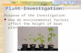 Plant Investigation: Purpose of the Investigation: How do environmental factors affect the height of bean plants?