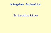 Kingdom Animalia Introduction. Kingdom Animalia Chapters 32, 33 and 34 in text Your Handouts… Animals are Metazoans (?????) Are all animals in one Kingdom?