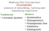 Making the Connection TAXONOMY science of describing, naming and classifying organisms Traditional Linnaean System Modern Systematics Phylogenetics Phylogenetic.