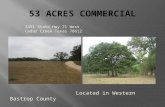 2491 State Hwy 71 West Cedar Creek Texas 78612 Located in Western Bastrop County.