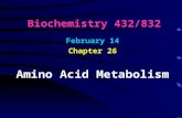 Biochemistry 432/832 February 14 Chapter 26 Amino Acid Metabolism.