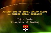 ADSORPTION of SMALL AMINO ACIDS on CHIRAL METAL SURFACES Tuğçe Eralp University of Reading.