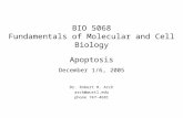 BIO 5068 Fundamentals of Molecular and Cell Biology Apoptosis December 1/6, 2005 Dr. Robert H. Arch arch@wustl.edu phone 747-4681.