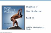 Copyright © 2010 Pearson Education, Inc. Chapter 7 The Skeleton Part B Shilla Chakrabarty, Ph.D.