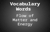 Vocabulary Words Flow of Matter and Energy. Producer an organism that uses sunlight directly to make sugar which in turn makes energy.