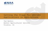 Setting the Stage for UAV/UAS Applications in Agriculture Ted Batkin Batkin Agricultural Service Visalia, CA.