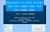 Prof. Xavier MONNET Medical Intensive Care Unit Bicêtre Hospital Assistance publique – Hôpitaux de Paris FRANCE Assessment of fluid therapy Use the right.